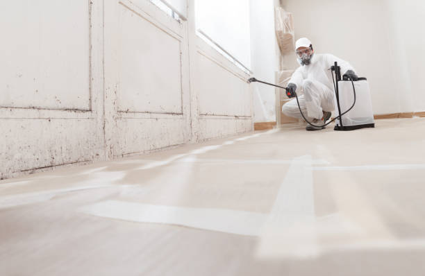 24/7 Emergency Attic Mold Remediation experts in Middletown, VA