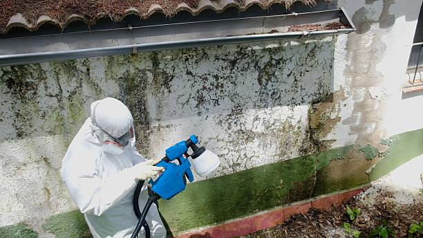 Top rated local Attic Mold Remediation specialists in Middletown, VA